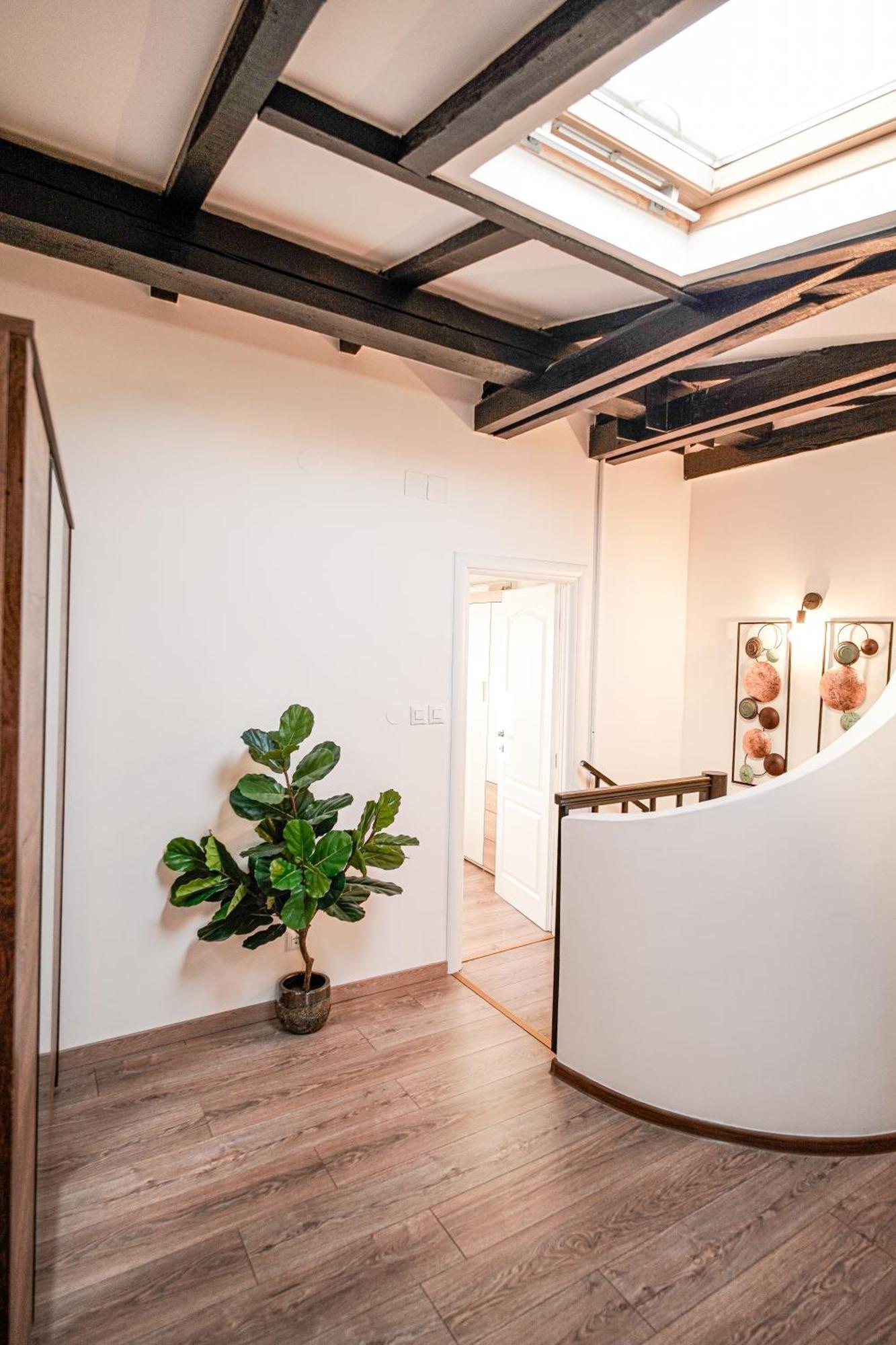 Apartment Rocco 罗维尼 外观 照片